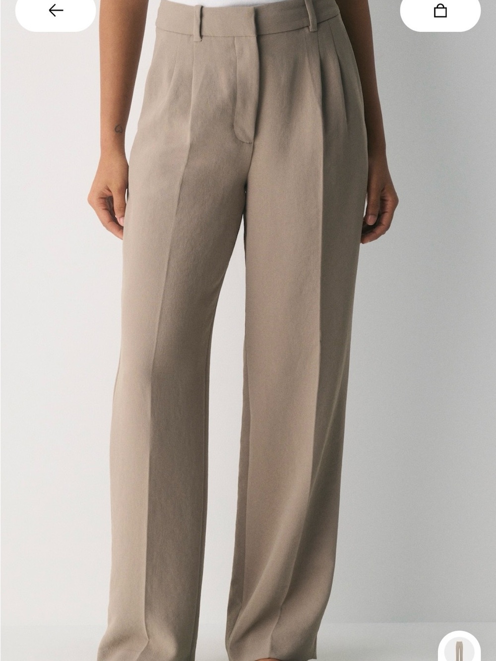 Aritzia Wide-Leg Pleated Pants in Taupe Beige